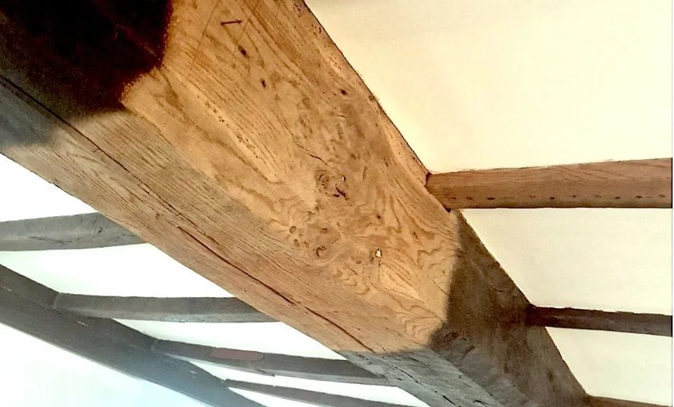 Exposed oak roof beam showing darker weathered timber beside a lighter cleaned surface with natural grain revealed